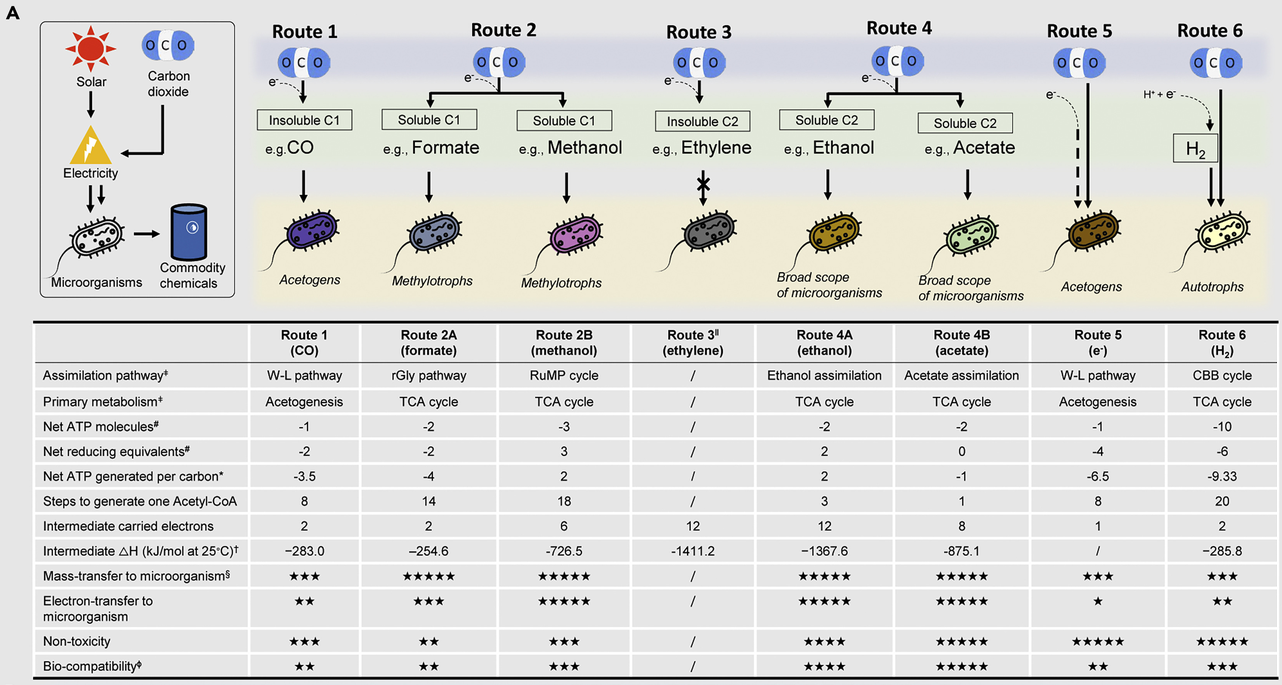 Research graphic