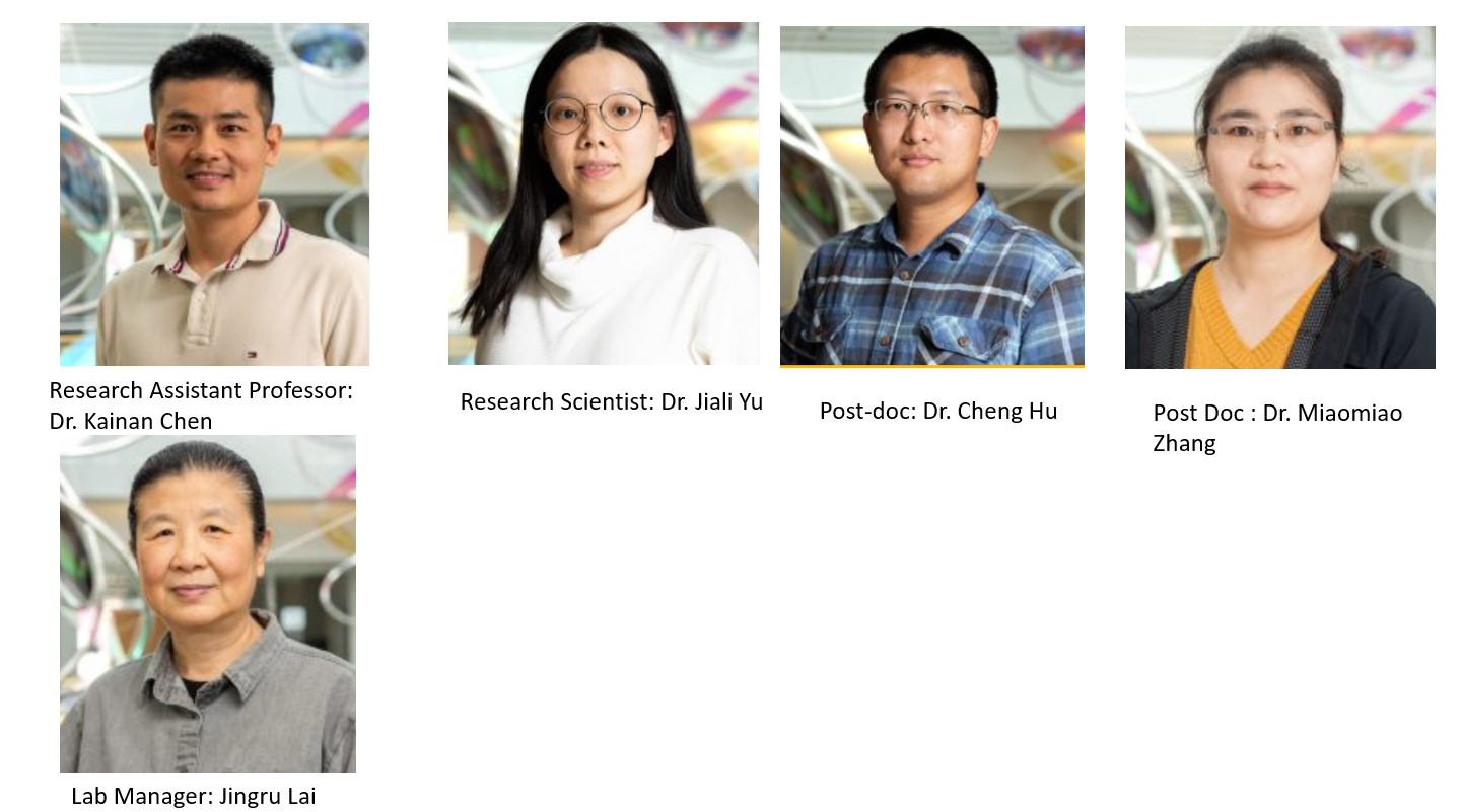 Group Members - Lab 1