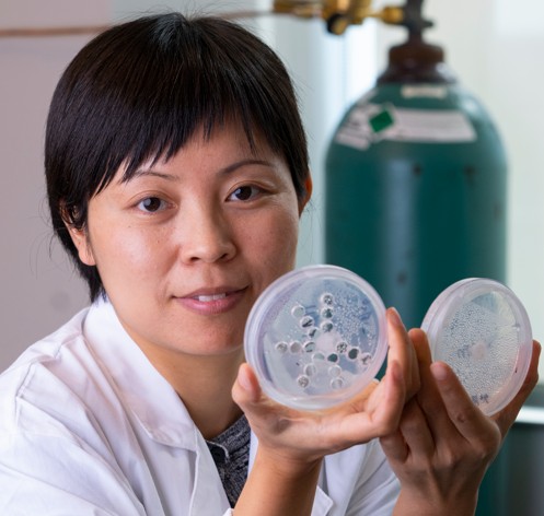 Dr. Susie Dai